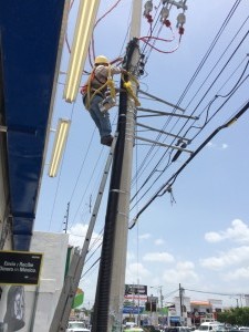 IMG 0074 (1)  